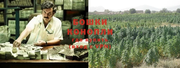 первитин Горняк