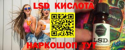 шишки Заволжье