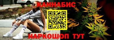 шишки Заволжье