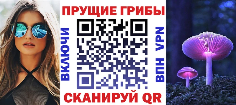 Псилоцибиновые грибы Cubensis  Назарово 