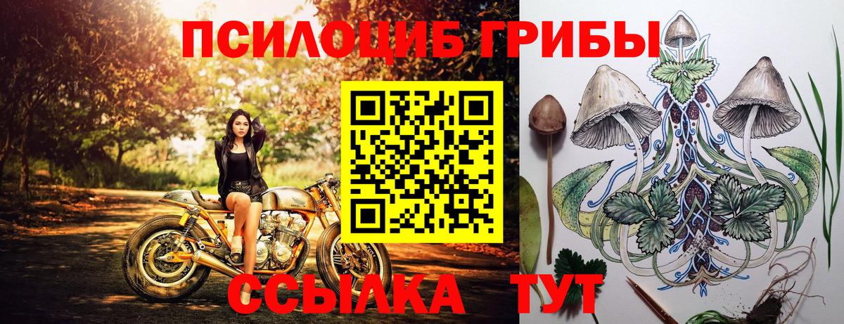 Галлюциногенные грибы Cubensis  Вход с VPN  Назарово  Галлюциногенные грибы Psilocybe 