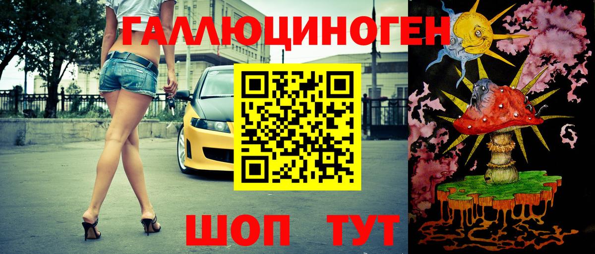 Псилоцибиновые грибы Psilocybine cubensis  Назарово  Галлюциногенные грибы прущие грибы 