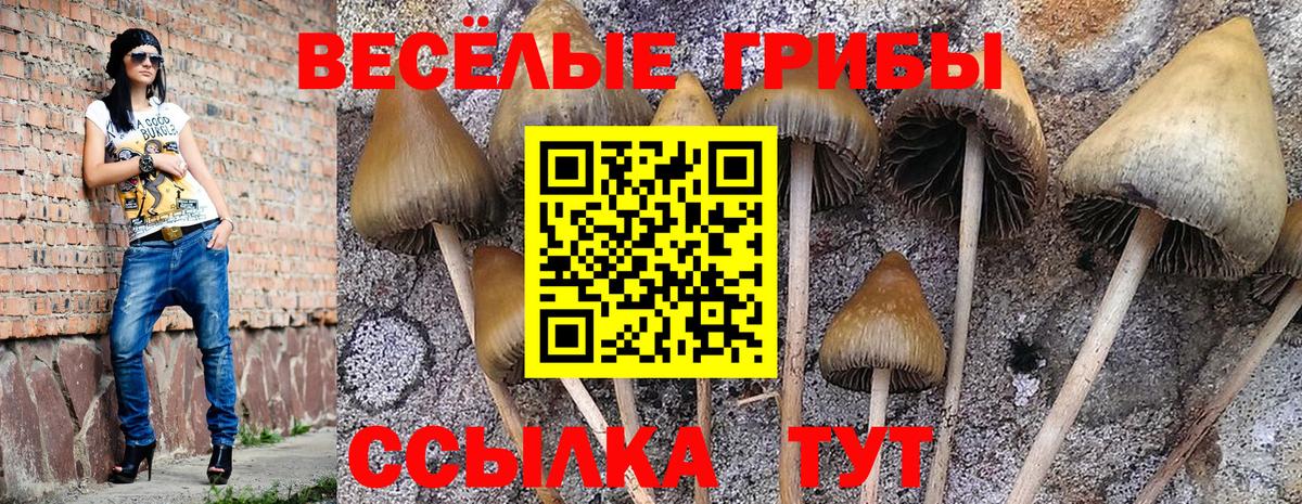 Псилоцибиновые грибы мухоморы Назарово