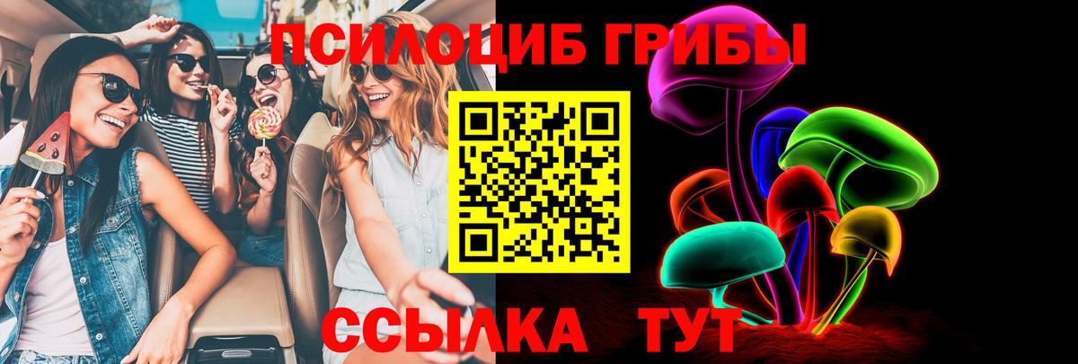 Псилоцибиновые грибы GOLDEN TEACHER Назарово